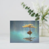 ARBRE SUR UNE CARTE POSTALE (Debout devant)