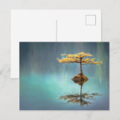ARBRE SUR UNE CARTE POSTALE (Devant / Derrière)