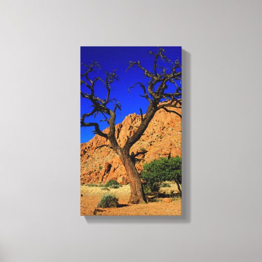 Arbre Terre Rouge Ciel Bleu Namibie Toile Imprimée (Recto)