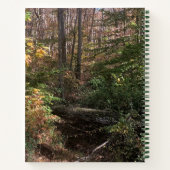 Arbre Tombé Dans Le Journal Spiral De Woods (Dos)