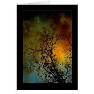 arbre un matin orageux