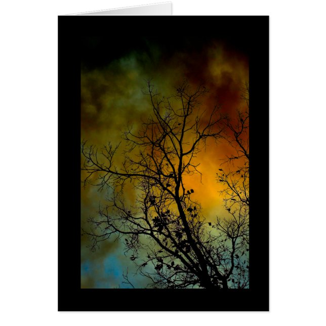 arbre un matin orageux (Devant)