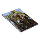 Arbres à Carnets spiraux (Côté Droit)