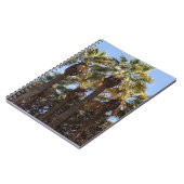 Arbres à Carnets spiraux (Côté gauche)