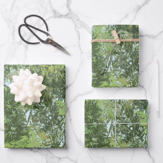 Arbres À Feuilles Vertes Avec Ciel Bleu À Travers  (Recto)