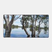 Arbres à gomme de Murray, Mat de bureau (Recto)