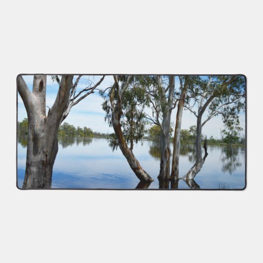 Arbres à gomme de Murray, Mat de bureau (Recto)