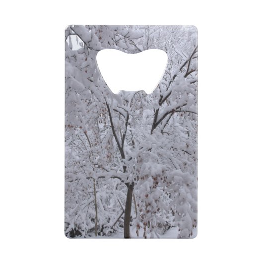 Arbres à neige (Devant)