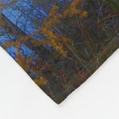 arbres à travers un lac dans la couverture de (Coin)