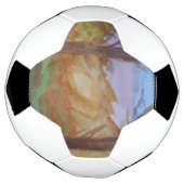 Arbres au coucher du soleil (Tourné)