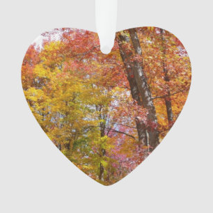 Arbres automnes oranges et jaunes Photographie d'a