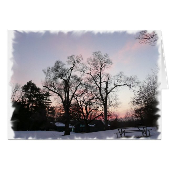 Arbres avec un coucher du soleil (Devant horizontal)