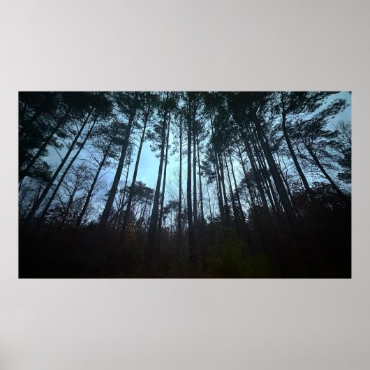 Arbres & Brouillard, Affiche (Devant)