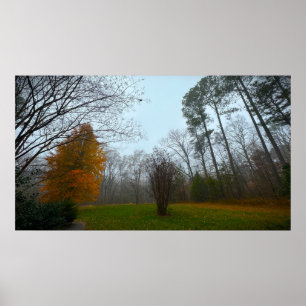 Arbres & Brouillard, Affiche
