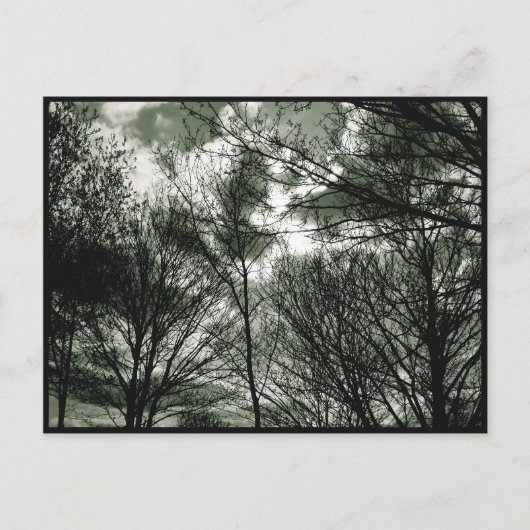 Arbres | Carte postale (Devant)
