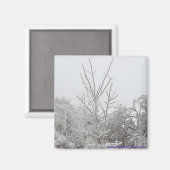 Arbres couverts de neige et de glace #1 aimant (Recto/Verso)