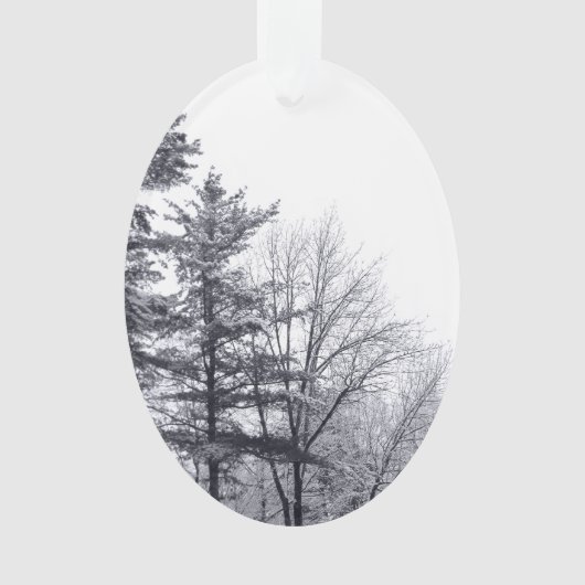 Arbres couverts de neige : Verticaux (devant)