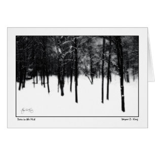 Arbres dans la brume