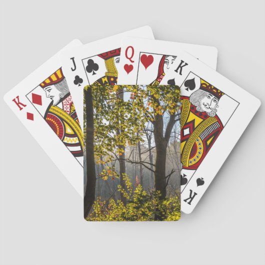 Arbres dans les cartes de jeu de brouillard (dos)