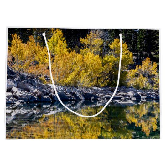 Arbres d'Aspen Automne, Automne, grand sac cadeau (Dos)