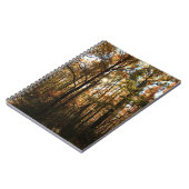 Arbres d'automne #3855 Carnet (Côté gauche)