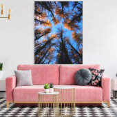 Arbres d'automne au coucher du soleil impression d (Insitu(Salon))