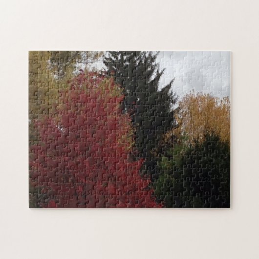 Arbres d'automne colorés Ciel gris Puzzles (Horizontal)