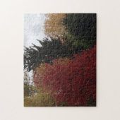 Arbres d'automne colorés Ciel gris Puzzles (Vertical)