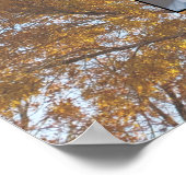 Arbres d'automne dorés Affiche d'arbre généalogiqu (Coin)
