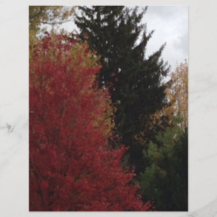 Arbres d'automne en Rouge Jaune Livre vert Papier