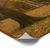 Arbres d'automne Imprimer New York Affiche paysagè (Coin)