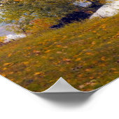 Arbres d'automne Misty lake Poster (Coin)