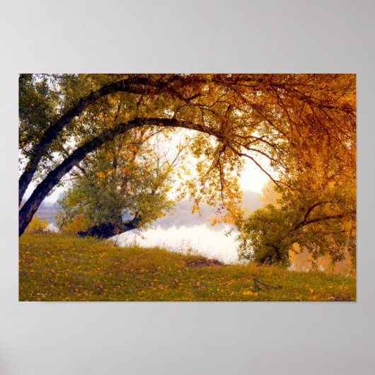 Arbres d'automne Misty lake Poster (Devant)