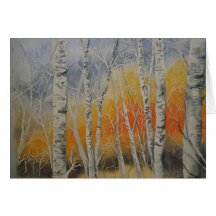 Arbres de bouleau de coucher du soleil