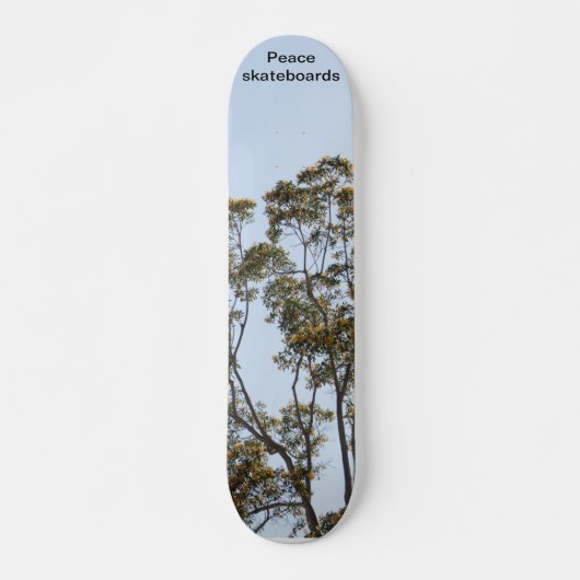 Arbres de croissance et de skateboard d'apprentiss (Devant)