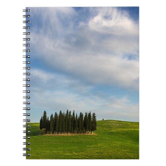 Arbres de Cypress dans le carnet de la Toscane (Devant)