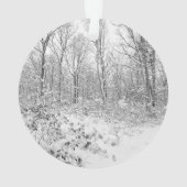 Arbres de Milou dans le Poconos (dos)