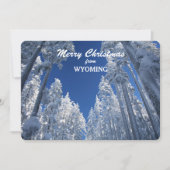 Arbres de Milou de modèle photo du Wyoming (Devant)