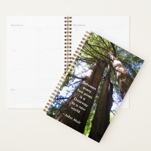 Arbres de séquoias avec citation de Muir (Devant avec enveloppe)