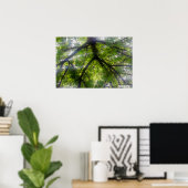 Arbres de soleil (Ohio) - Affiche (Bureau à domicile)