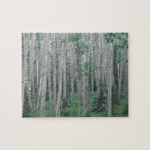 Arbres d'été - 8x10 - 110 pcs Jigsaw Puzzle