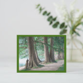 Arbres d'hier, carte postale (Debout devant)