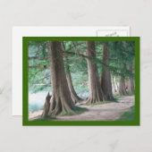 Arbres d'hier, carte postale (Devant / Derrière)