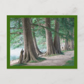 Arbres d'hier, carte postale (Devant)