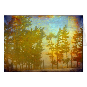 Arbres d'hiver