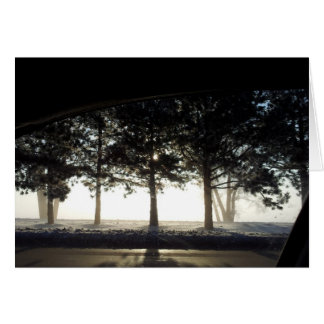 Arbres d'hiver de voiture