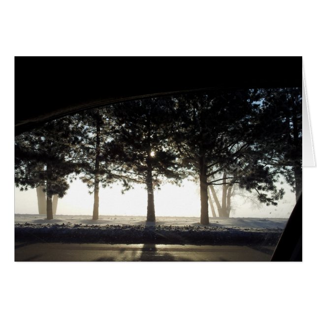 Arbres d'hiver de voiture (Devant horizontal)