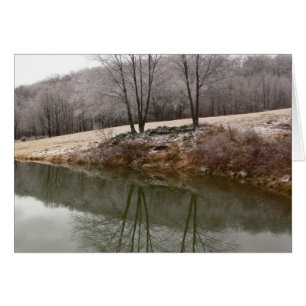 Arbres d'hiver reflétés