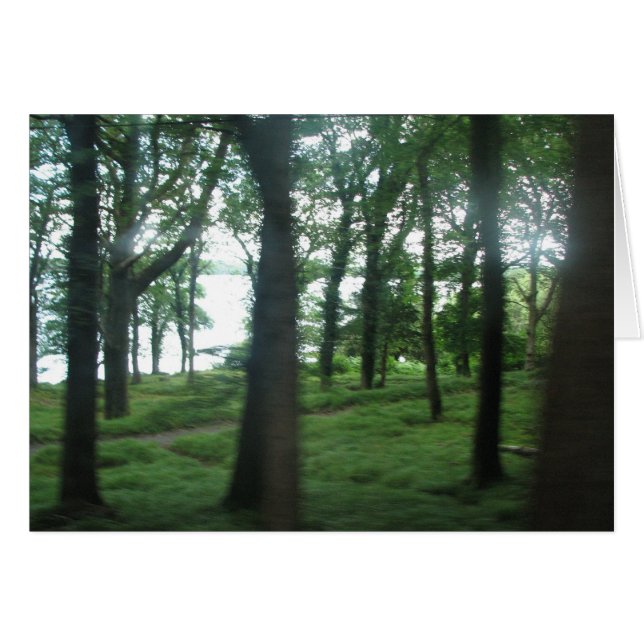 Arbres du comté de Kerry (Devant horizontal)