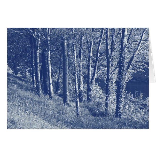 Arbres d'une rivière - Effet Cyanotype (Devant horizontal)